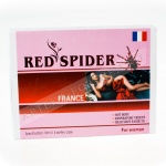 France red's spider