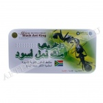 Africa Black Ant King